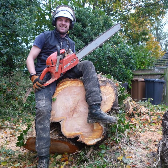 Rhys Dobbs, wearing safety gear, sits smiling on a large tree stump with a chainsaw in hand. Sawdust and branches cover the ground, while trees and rubbish bins can be seen in the background.