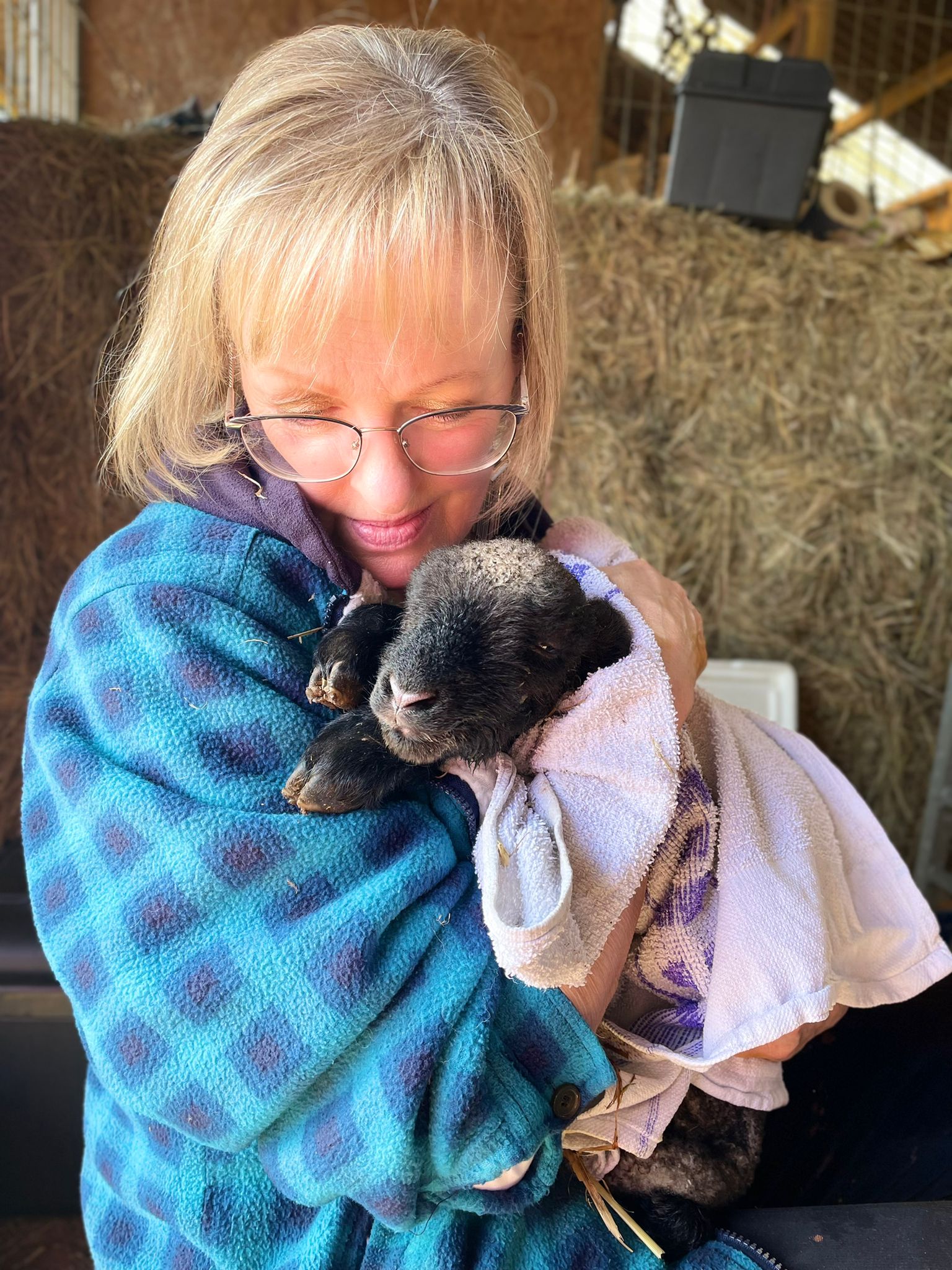Diane, wearing glasses and a blue checked jacket, cuddles a small black lamb wrapped in a towel, smiling softly while sitting in front of a haystack in a barn.